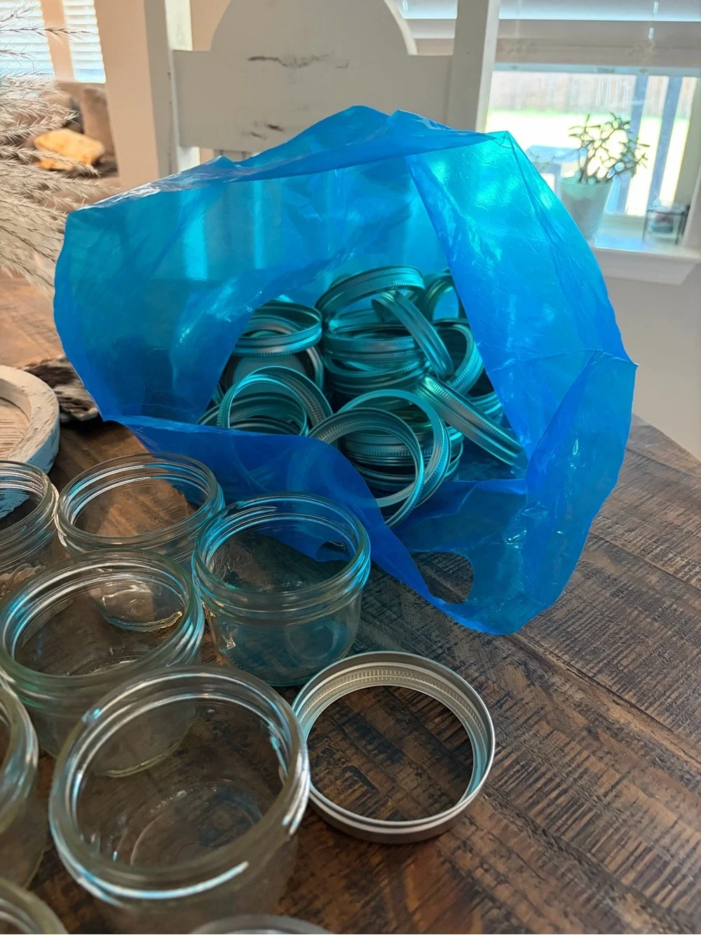 Clear Glass Jelly Jar by - Clear